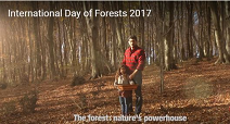 Dia das Florestas