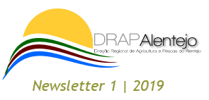 DRAPALNewsletter1 19