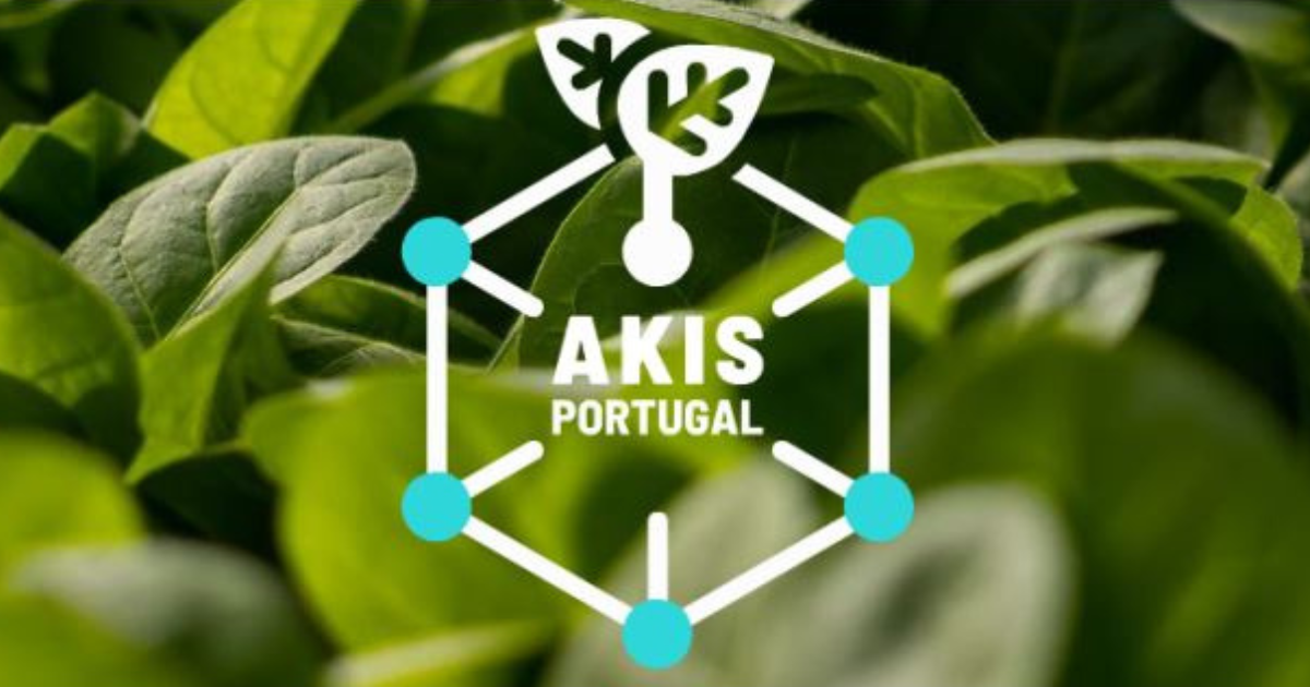 Logotipo do AKIS