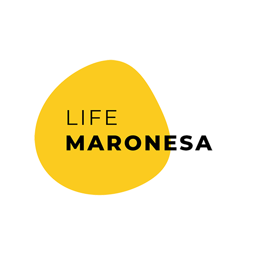 logo lifepng